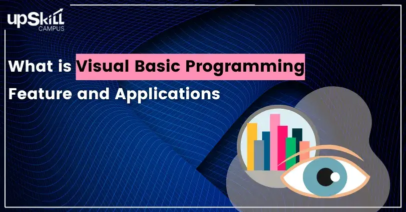 What is Visual Basic Programmi
